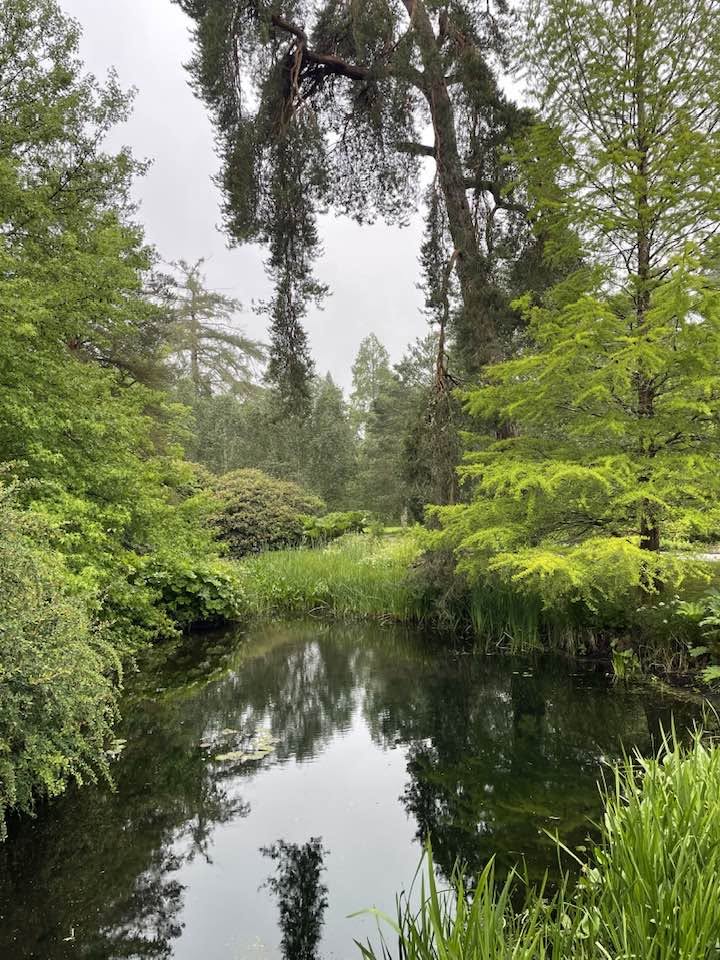 Scotney Castle1